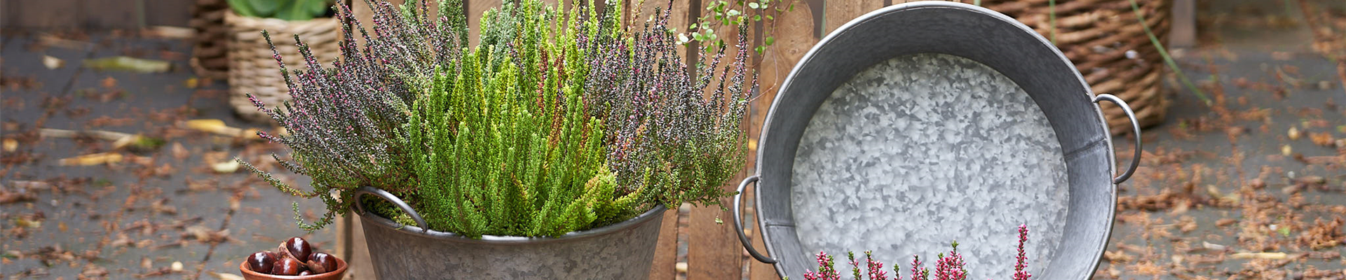 HEIDE - WOHIN DAS AUGE REICHT!