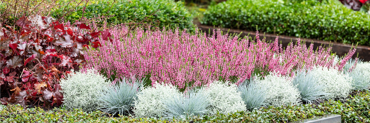 ZEIT DER ERINNERUNG!