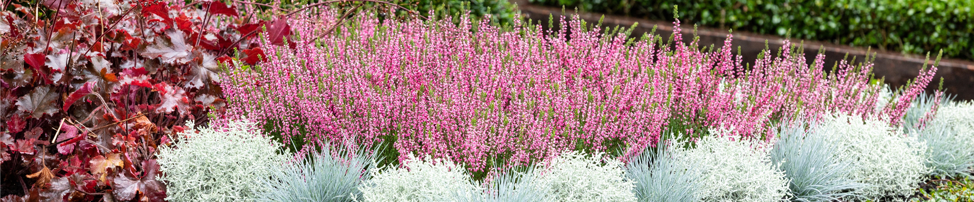 ZEIT DER ERINNERUNG!