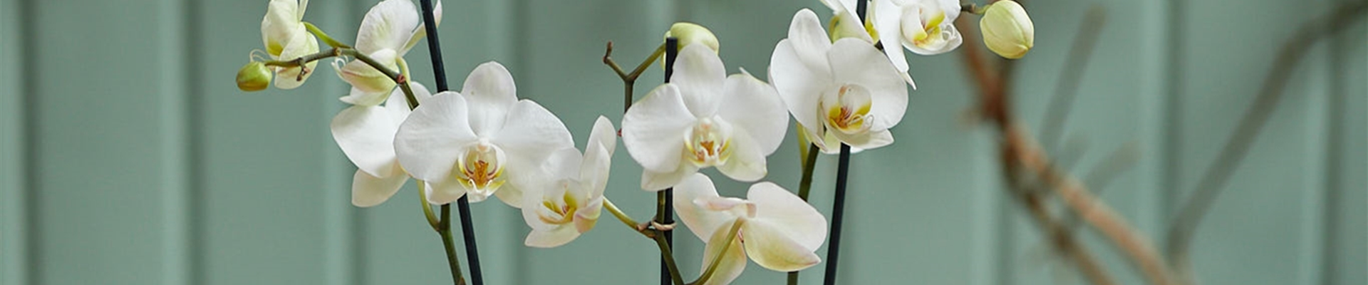 MODERNE WEIHNACHTEN! 