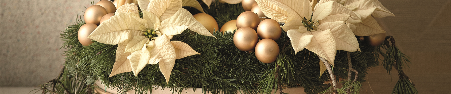 WILLKOMMEN IM FESTZAUBER!