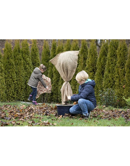 WIE GEHT...WINTERSCHUTZ?